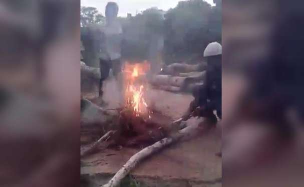 ಹೈದರಾಬಾದ್: ನಾಯಿಮರಿಗಳನ್ನು ಬೆಂಕಿಗೆಎಸೆದು ಕೊಂದ ಬಾಲಕರ ಬಂಧನ